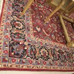 802 3644 ORIENTAL RUG